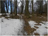 Dolina Zaplaninščice - Črni vrh (Čemšeniška planina)